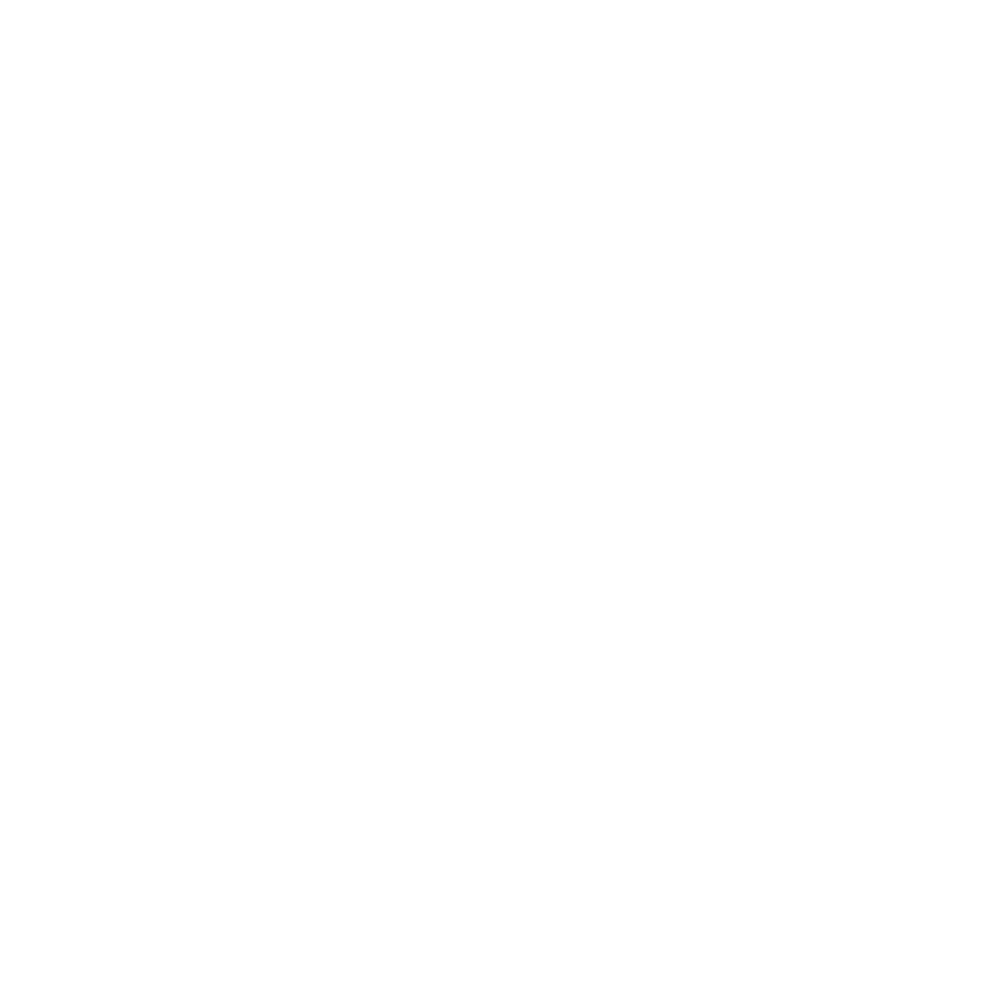 Lost Pages